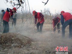 新疆“电力人”志愿者服务队活跃在田间地头暖